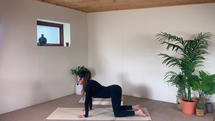 21 days of Yoga (2) Awaken your spine.